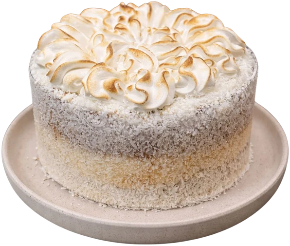 Bolo Gelado de Coco, fotografia original do catálogo Stelle Patisserie
