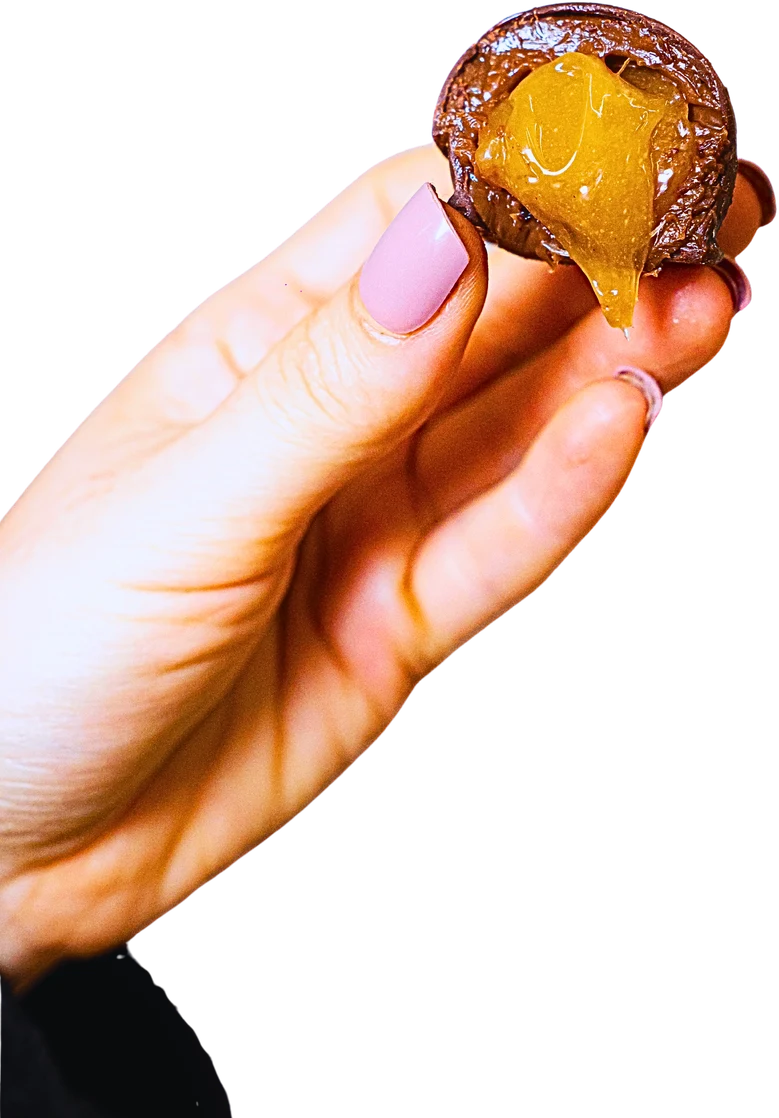 Caramelito, fotografia original do catálogo Stelle Patisserie